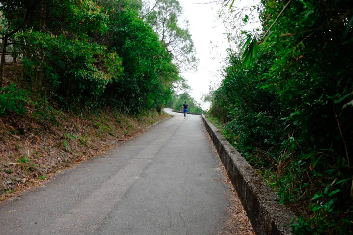 Wide concrete trail towards the end of Section 4.